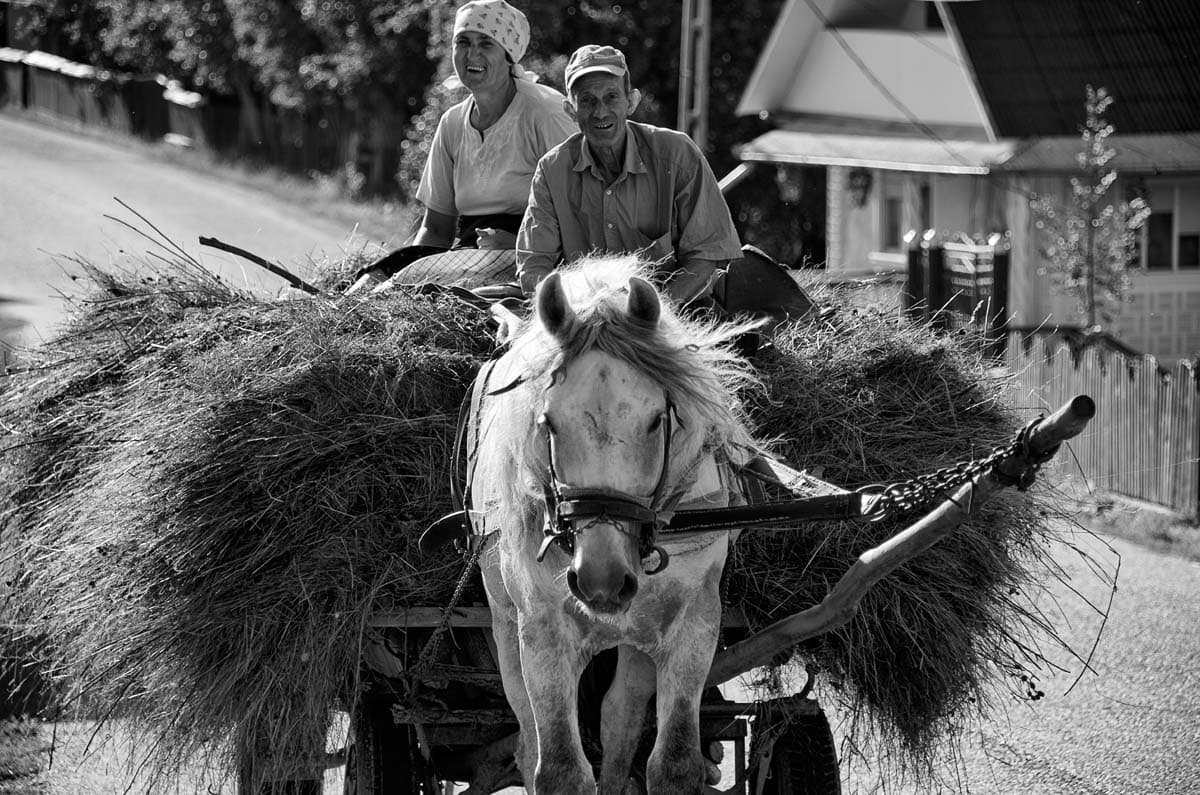 MARAMURES 44